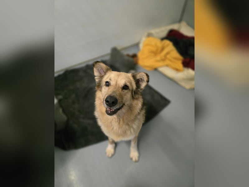 verschmuste, sanfte Alicia ❤️ sucht ihre Herzensmenschen