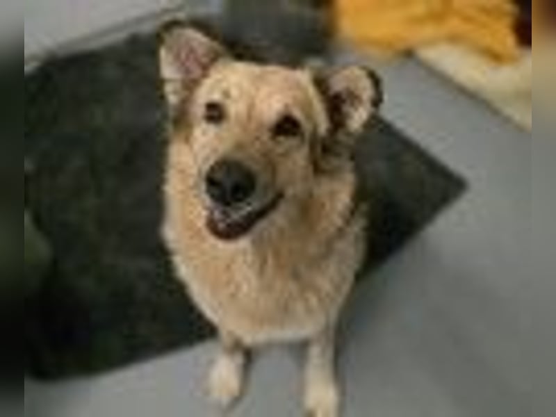 liebe Alicia wartet in Heilbronn