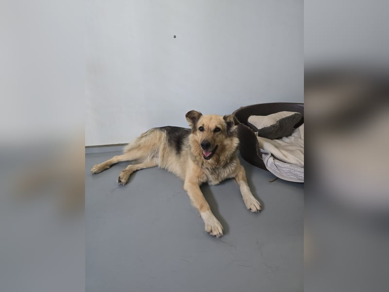 verschmuste, sanfte Alicia ❤️ sucht ihre Herzensmenschen