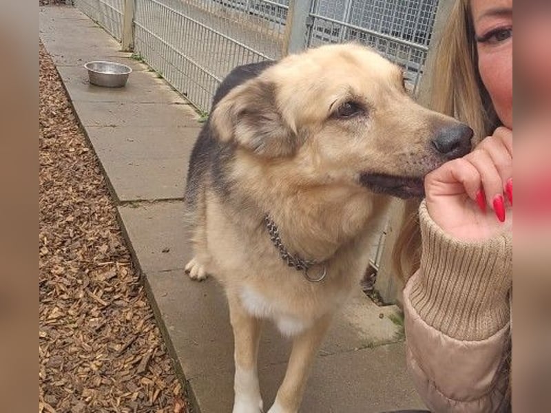 verschmuste, sanfte Alicia