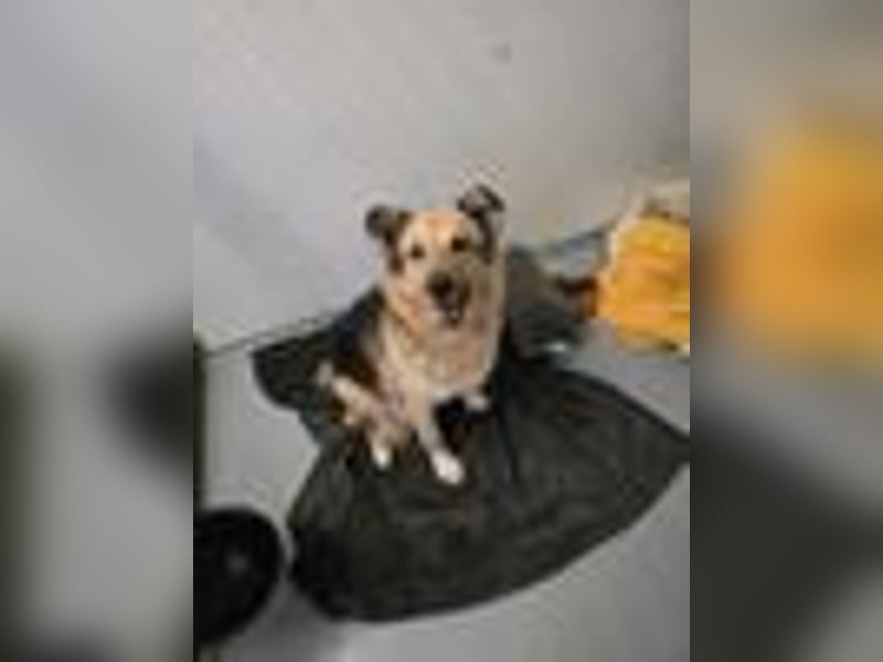 liebe Alicia wartet in Heilbronn