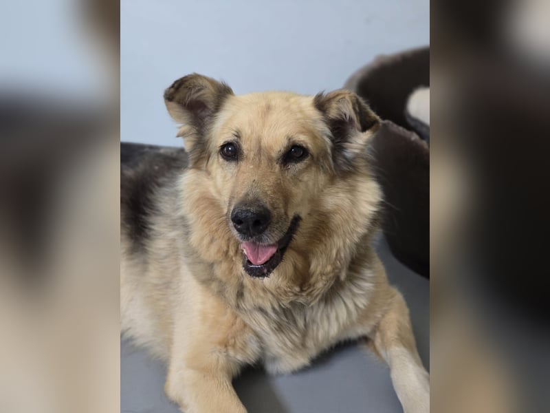 verschmuste, sanfte Alicia ❤️ sucht ihre Herzensmenschen