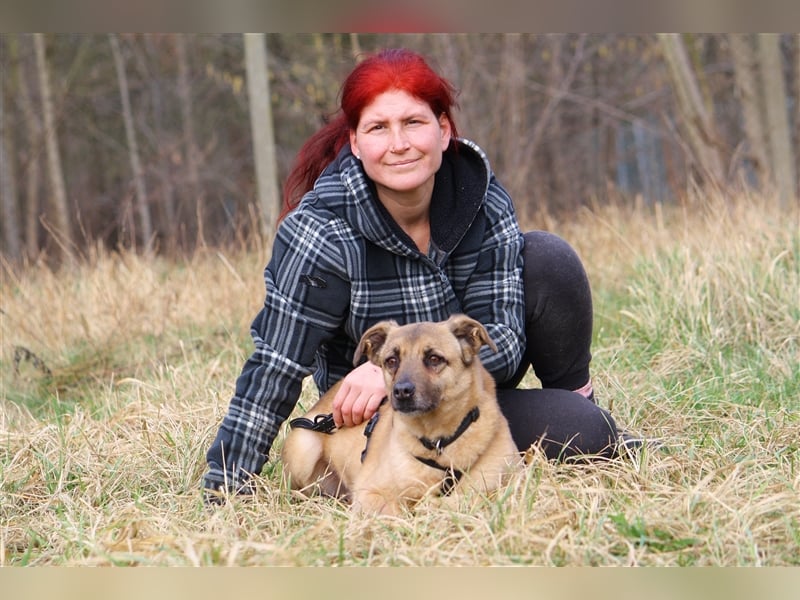Hundeopa Jayden sucht ein liebevolles und ruhiges Zuhause