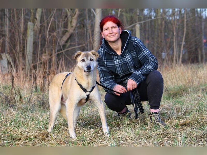 Wer schenkt dem sensiblen Hundeopa Samu ein fürsorgliches Zuhause