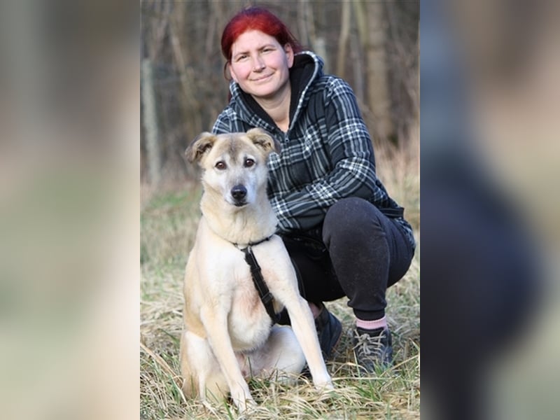 Wer schenkt dem sensiblen Hundeopa Samu ein fürsorgliches Zuhause