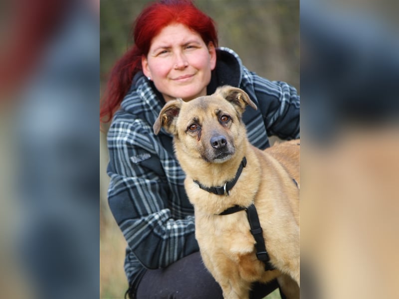 Hundeopa Jayden sucht ein liebevolles und ruhiges Zuhause