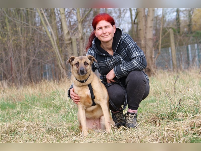 Hundeopa Jayden sucht ein liebevolles und ruhiges Zuhause
