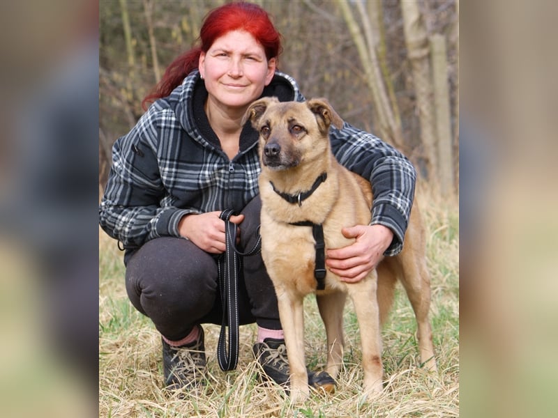 Hundeopa Jayden sucht ein liebevolles und ruhiges Zuhause