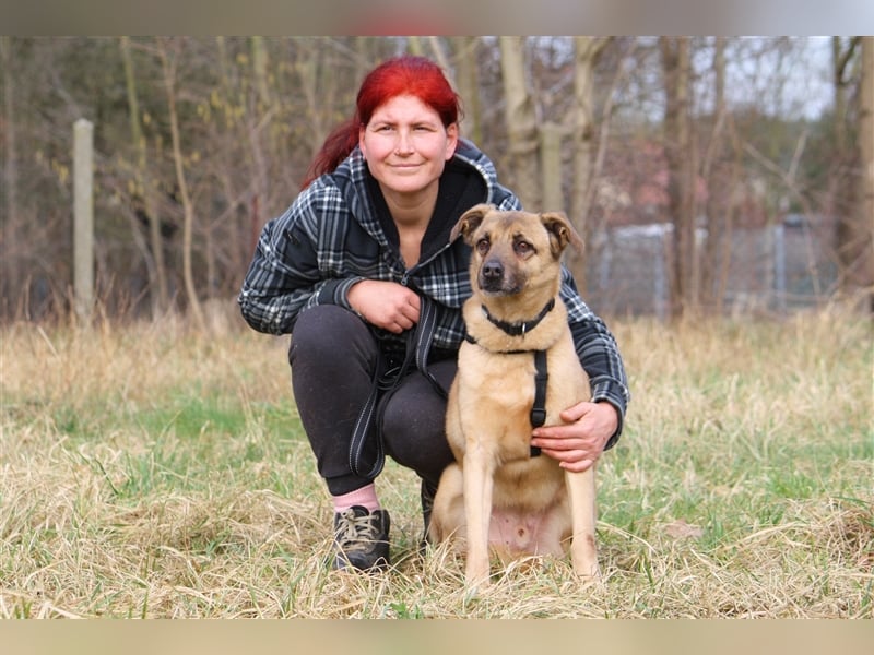 Hundeopa Jayden sucht ein liebevolles und ruhiges Zuhause