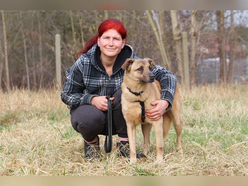 Hundeopa Jayden sucht ein liebevolles und ruhiges Zuhause