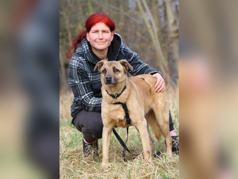 Hundeopa Jayden sucht ein liebevolles und ruhiges Zuhause