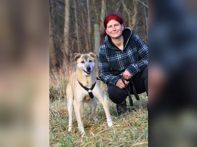 Wer schenkt dem sensiblen Hundeopa Samu ein fürsorgliches Zuhause