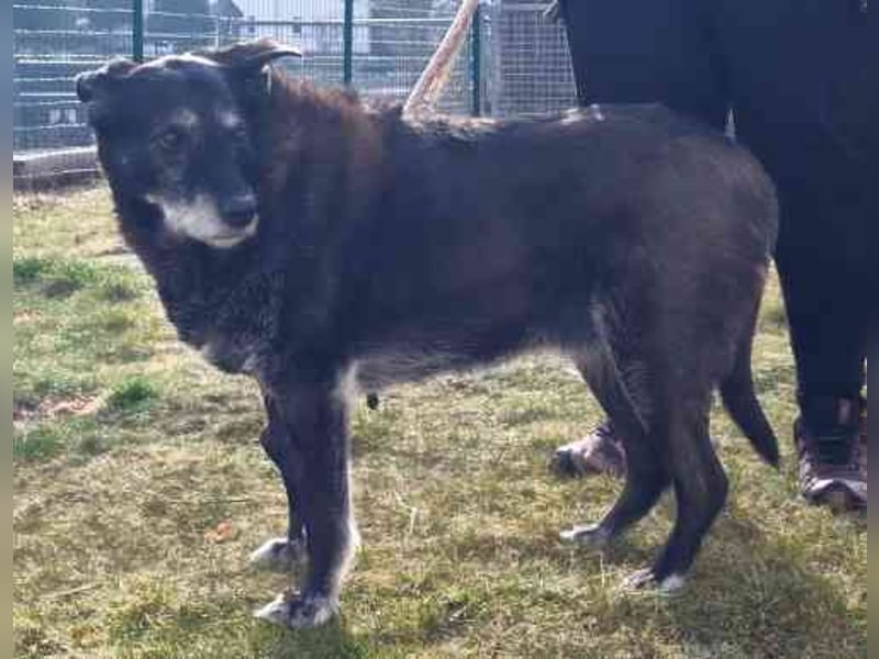 Paula ganz freundliche Seniorin