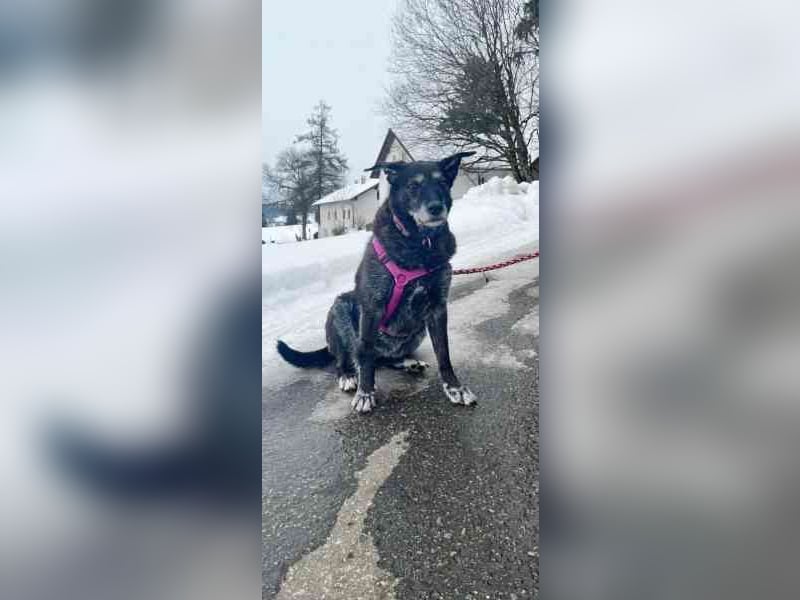 Paula ganz freundliche Seniorin