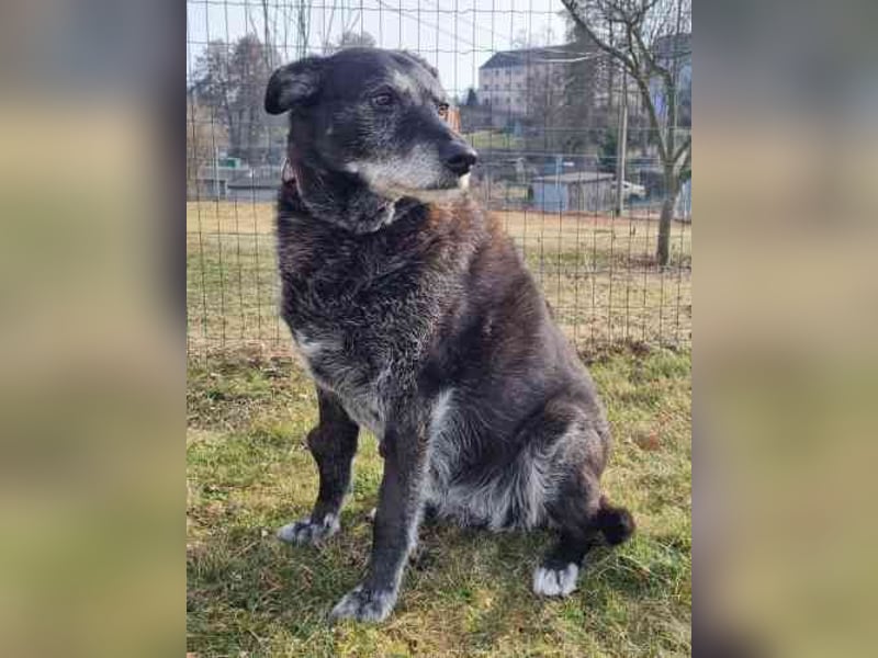 Paula ganz freundliche Seniorin