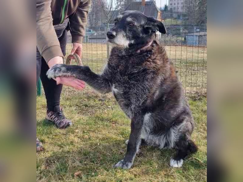 Paula ganz freundliche Seniorin