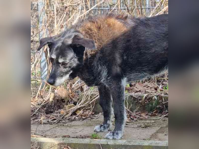 Paula ganz freundliche Seniorin