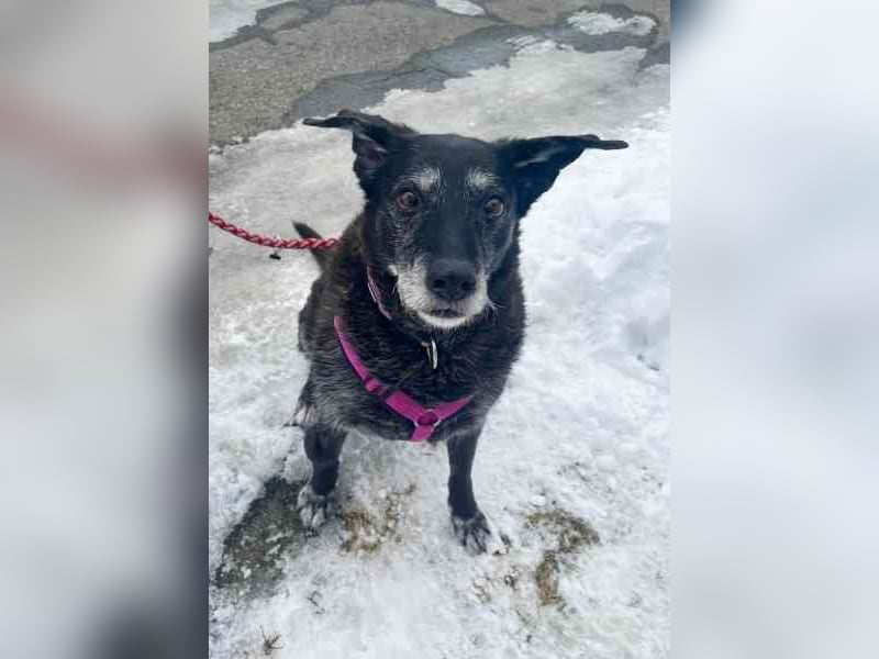 Paula ganz freundliche Seniorin