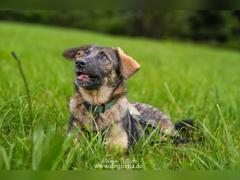 Rika sucht eine Familie