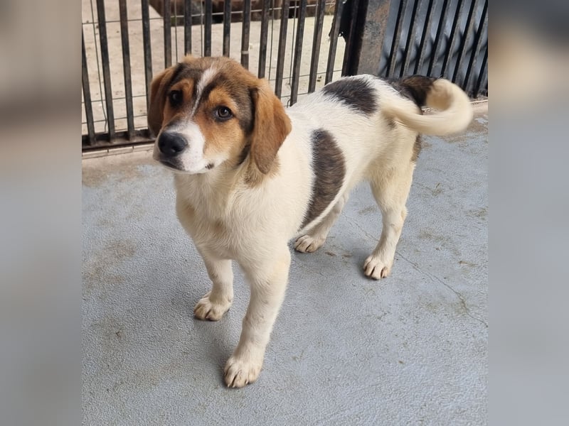 Ripley sucht eine Familie
