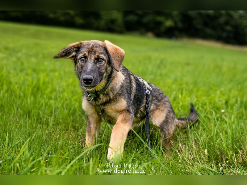 Rika sucht eine Familie