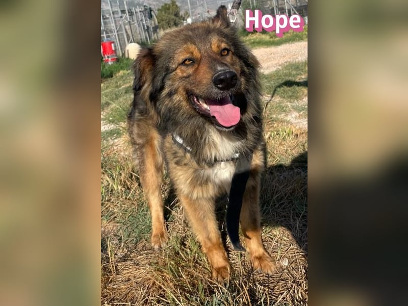 Hope, 05/24 - Die, die immer lacht! wartet in 64653 Lorsch