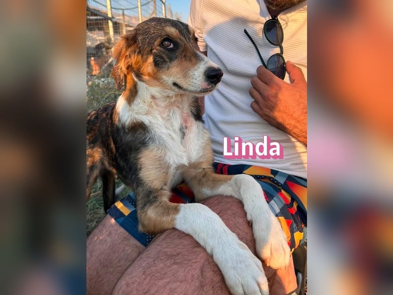 Linda, 03/26 - bezaubrendes Mädel sucht Familie