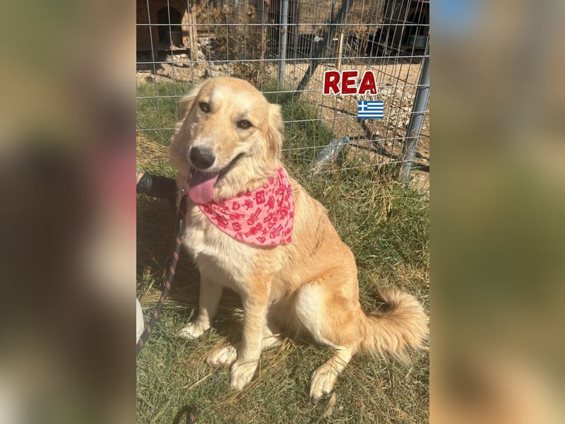 Rea - neugierig und lernwillig