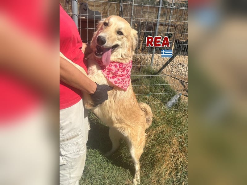 Rea - neugierig und lernwillig