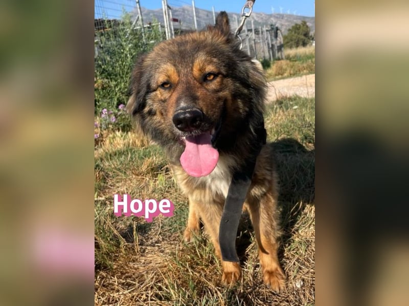 Hope, 05/24 - Die, die immer lacht! wartet in 64653 Lorsch