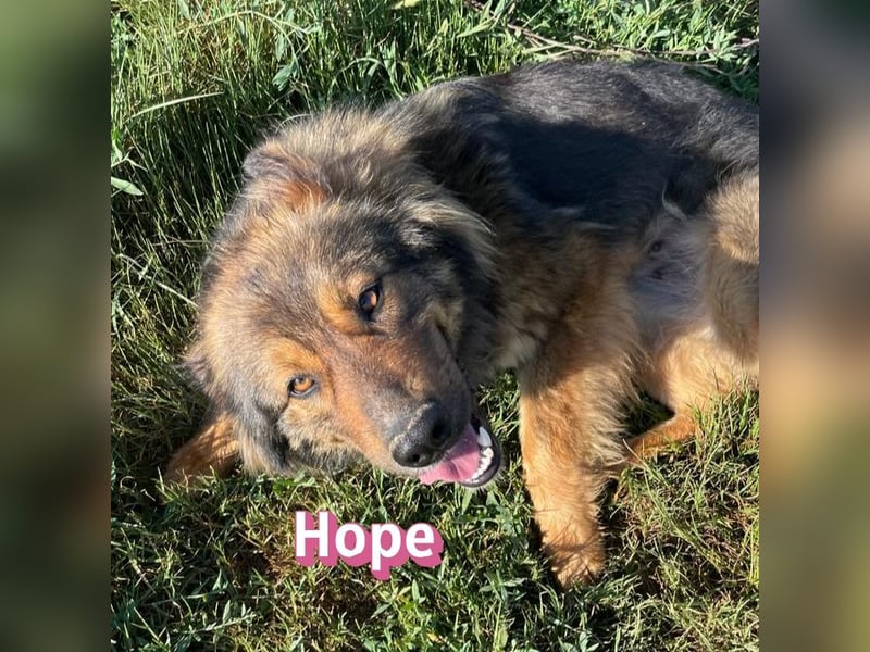 Hope, 05/24 - Die, die immer lacht! wartet in 64653 Lorsch