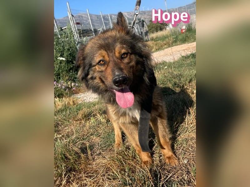 Hope, 05/24 - Die, die immer lacht! wartet in 64653 Lorsch