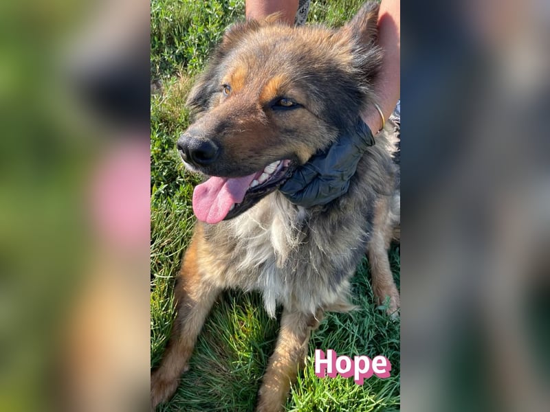 Hope, 05/24 - Die, die immer lacht! wartet in 64653 Lorsch