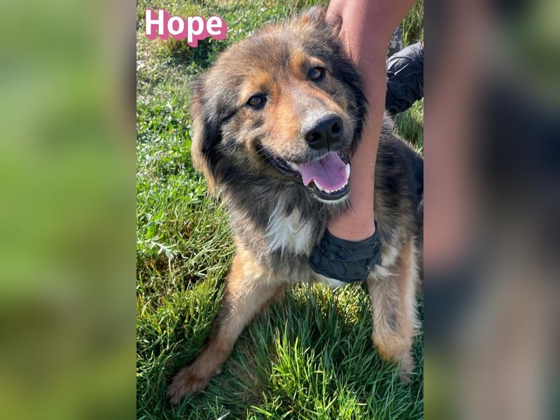 Hope, 05/24 - Die, die immer lacht! wartet in 64653 Lorsch
