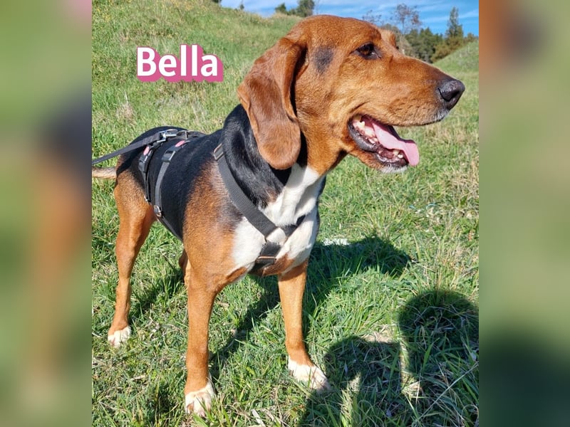 Bella - freundlich und sozial