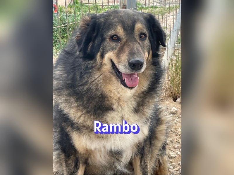 Rambo 01/22 - aktives Moppelchen sucht Diätpartner