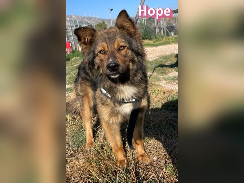 Hope, 05/24 - Die, die immer lacht! wartet in 64653 Lorsch