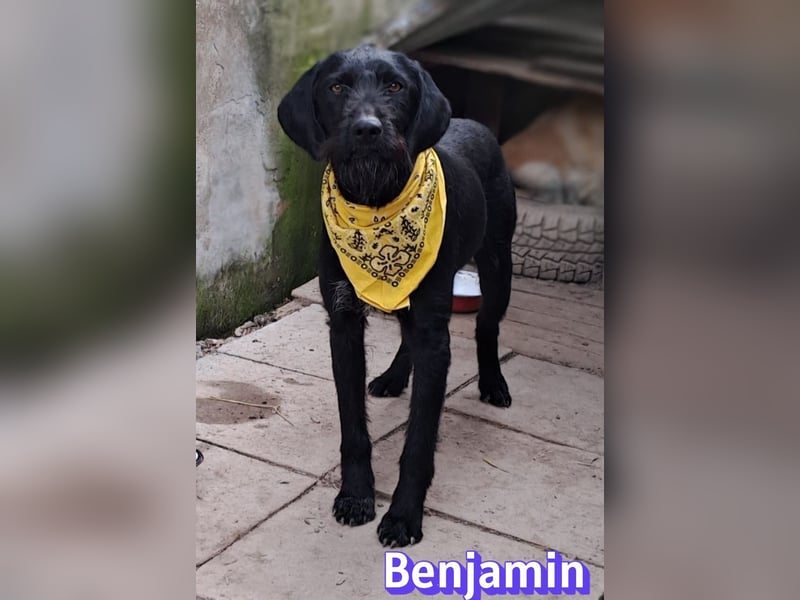 Benjamin - Verlorenes Herz sucht sein Glück