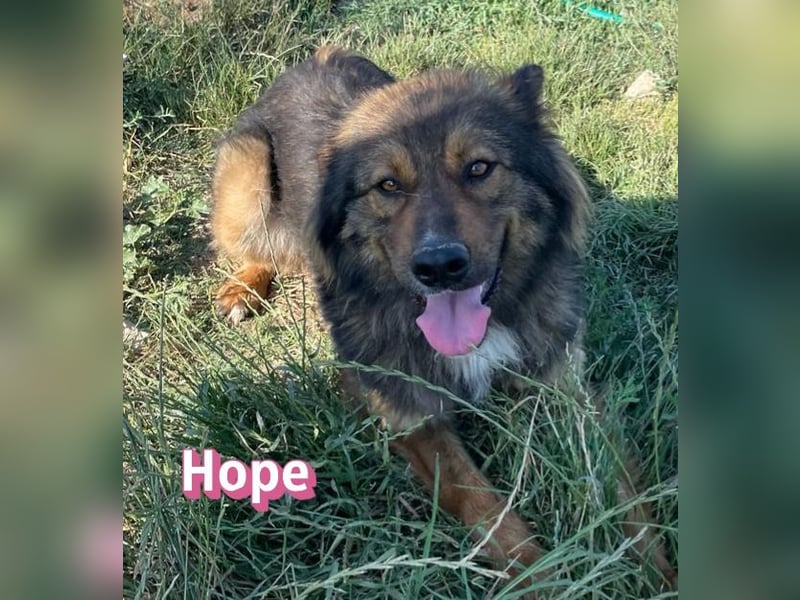Hope, 05/24 - Die, die immer lacht! wartet in 64653 Lorsch