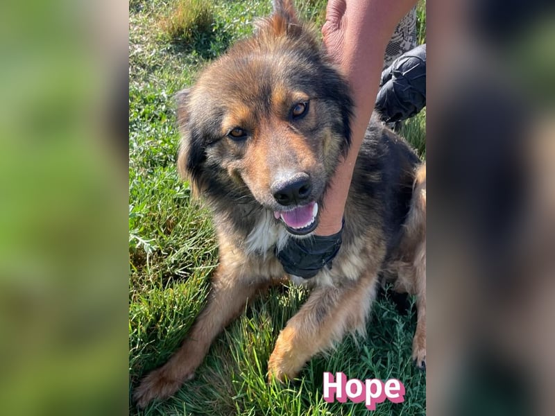 Hope, 05/24 - Die, die immer lacht! wartet in 64653 Lorsch