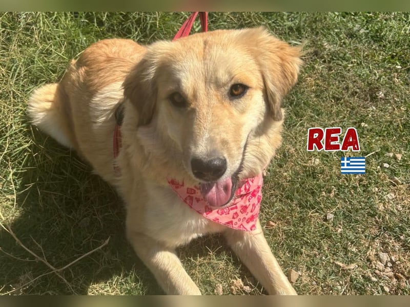 Rea - neugierig und lernwillig