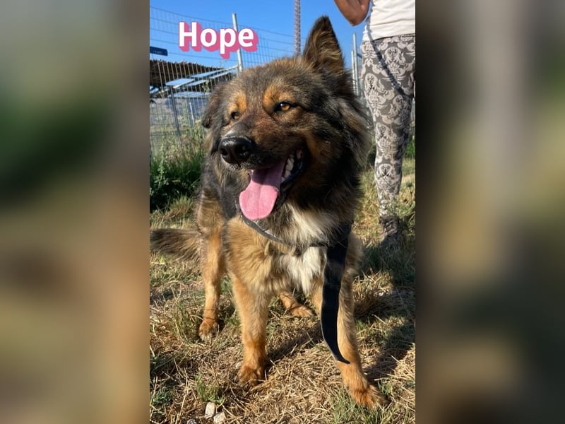 Hope, 05/24 - Die, die immer lacht! wartet in 64653 Lorsch