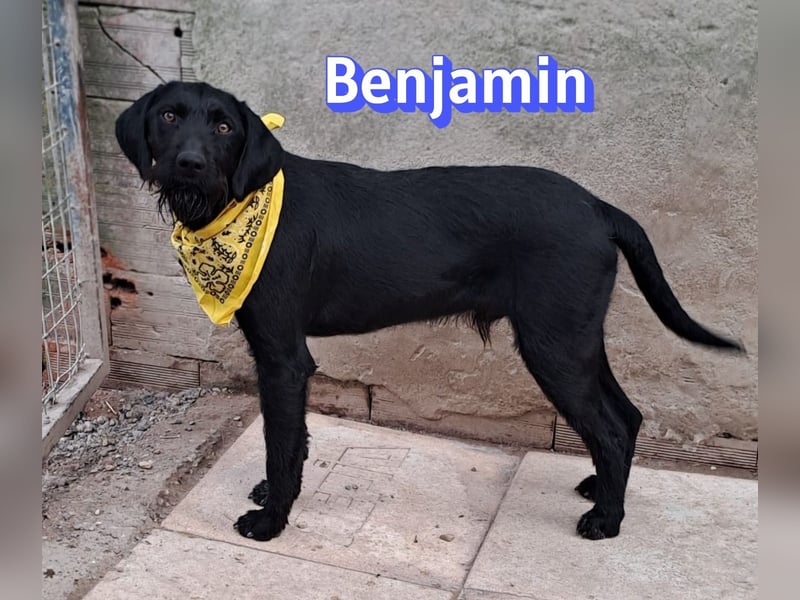 Benjamin - Verlorenes Herz sucht sein Glück
