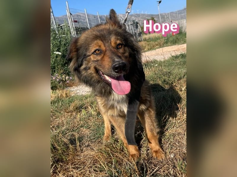 Hope, 05/24 - Die, die immer lacht! wartet in 64653 Lorsch