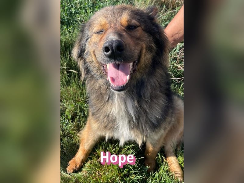 Hope, 05/24 - Die, die immer lacht! wartet in 64653 Lorsch