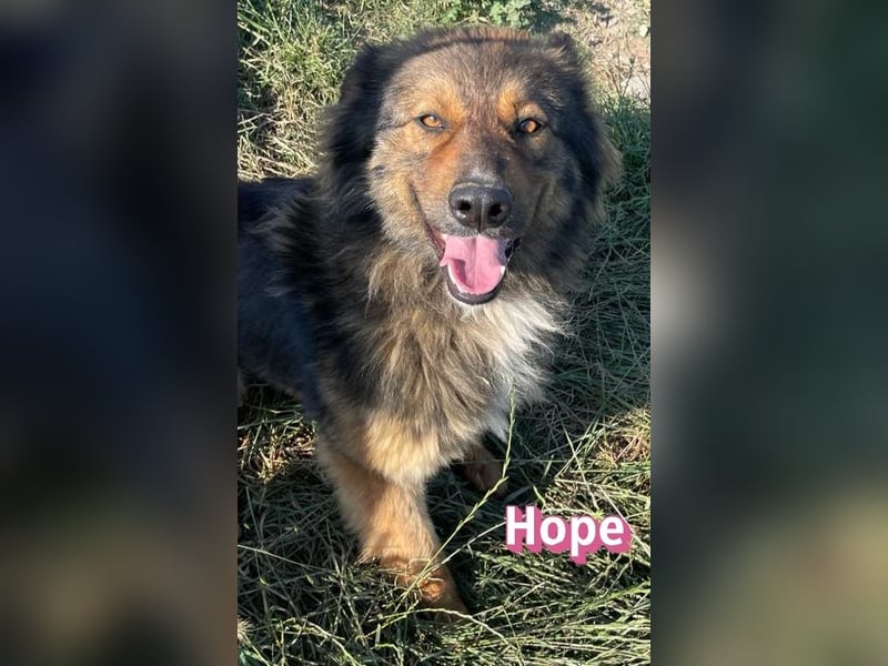 Hope, 05/24 - Die, die immer lacht! wartet in 64653 Lorsch