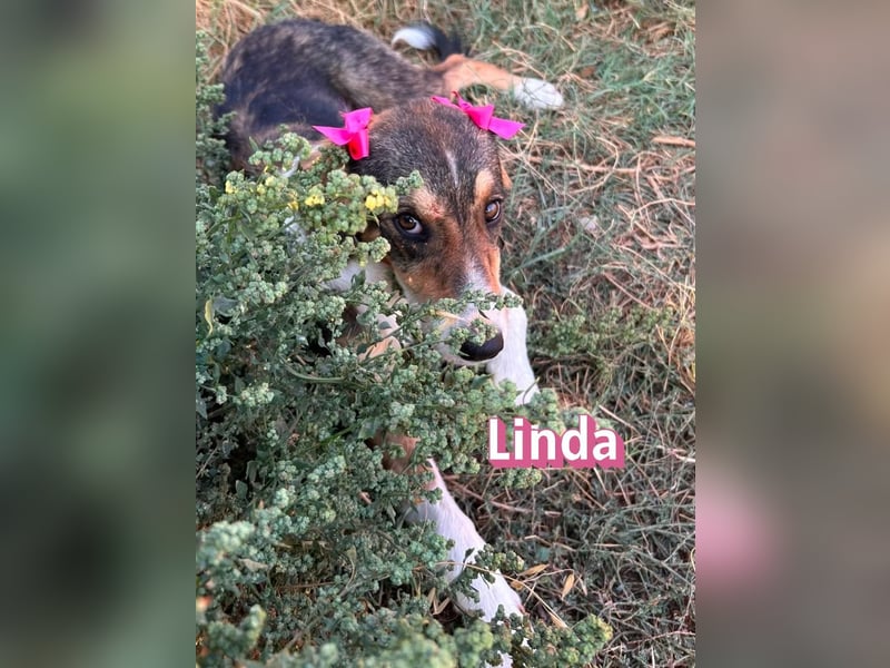Linda, 03/26 - bezaubrendes Mädel sucht Familie