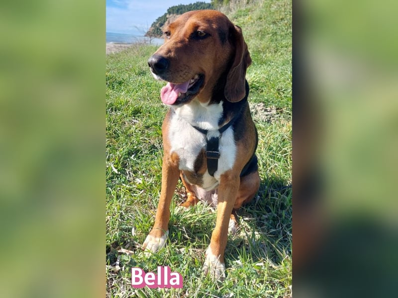 Bella - freundlich und sozial