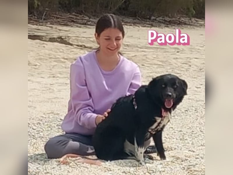 Paola - Ein Hund für Strandspaziergänge