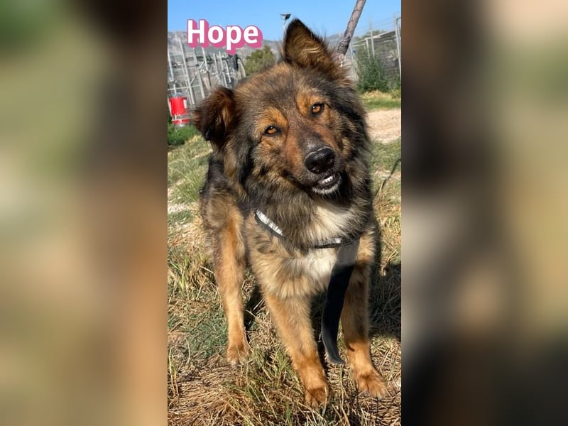 Hope, 05/24 - Die, die immer lacht! wartet in 64653 Lorsch